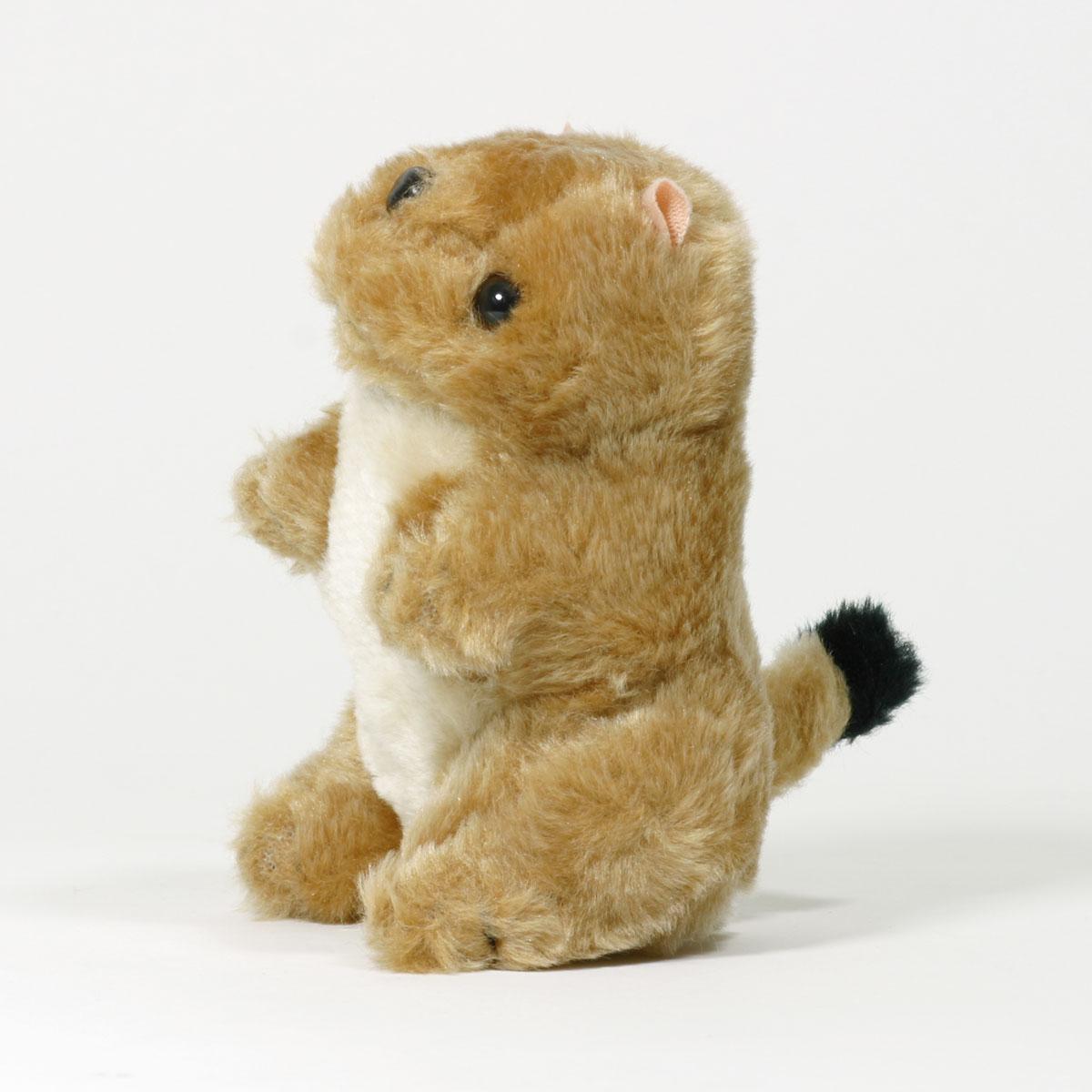 teddy bear with box